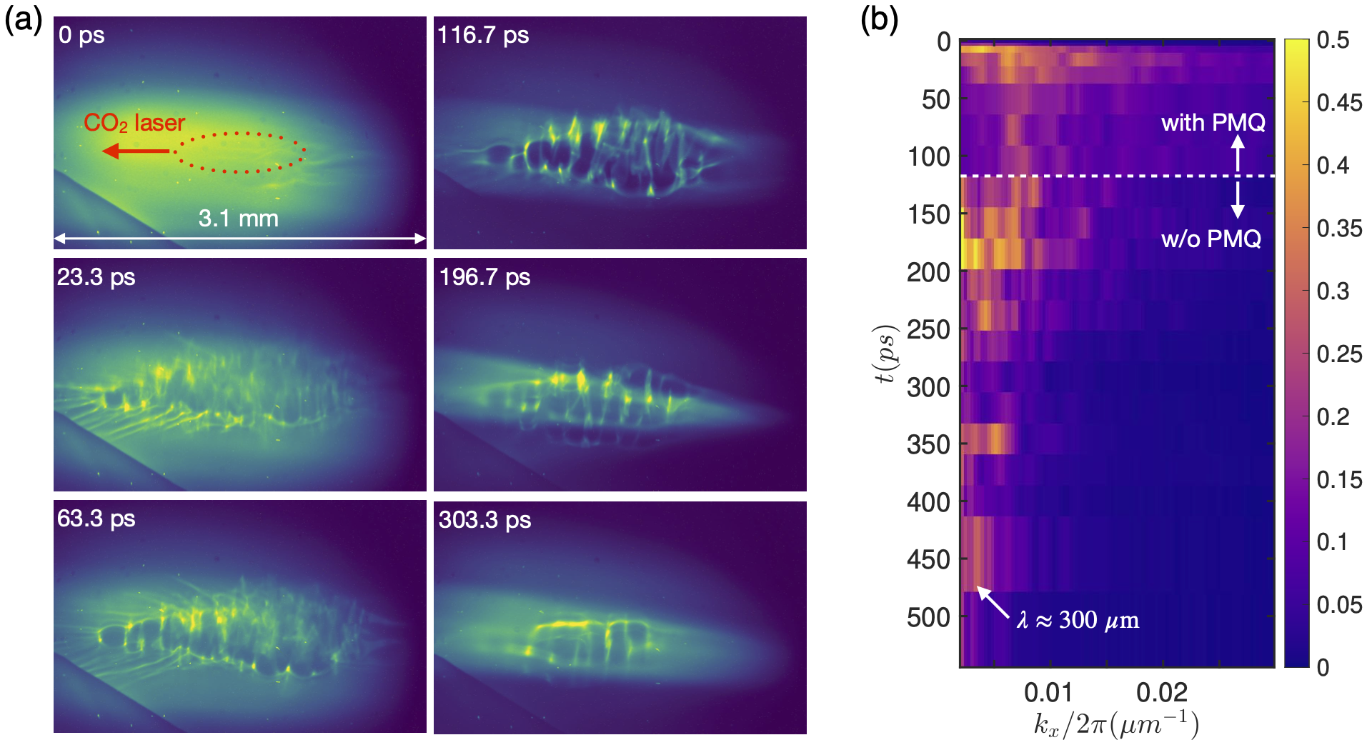 Long-term evolution of Weibel magnetic fields
