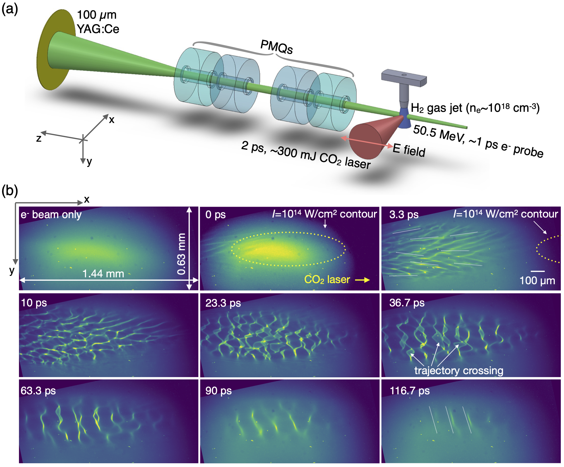 Weibel instability magnetic field mapping