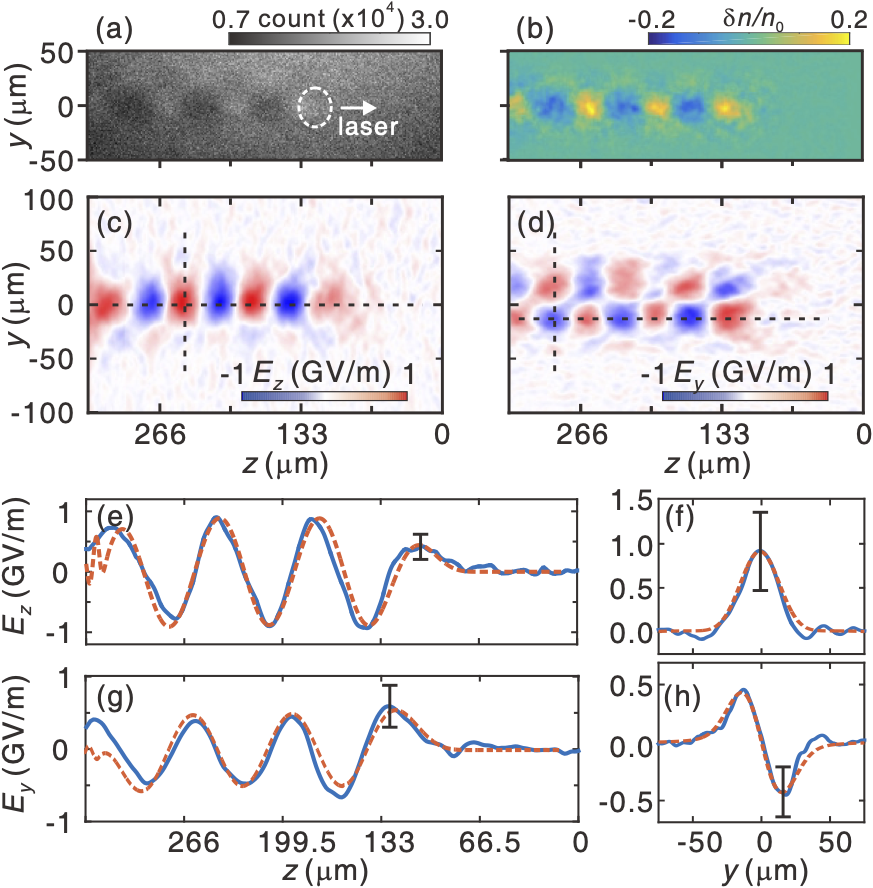 Snapshots of the wakefield
